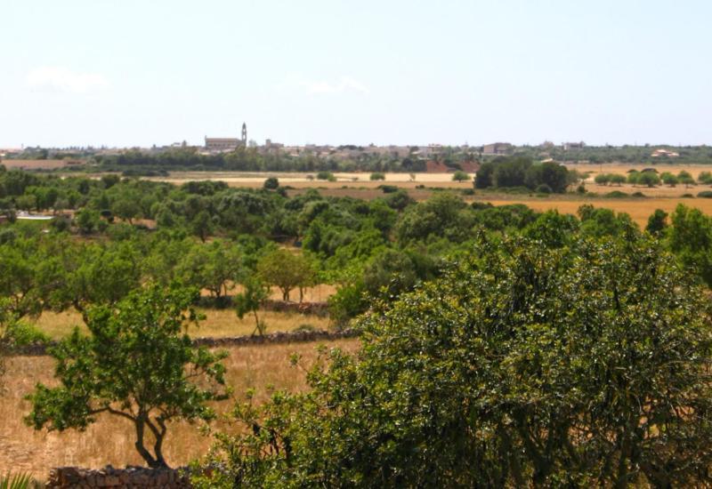 Son Fumat Villa Llombarts Exterior photo