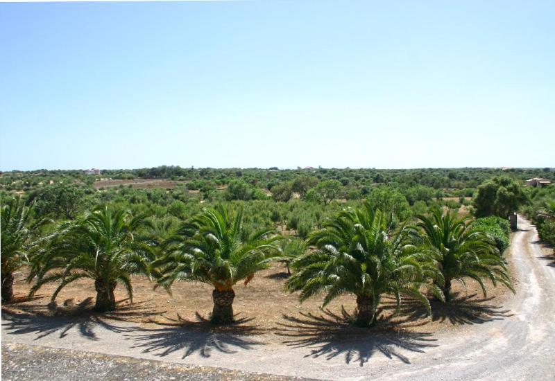 Son Fumat Villa Llombarts Exterior photo